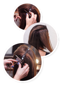 EXTENSIONS-CAPILLAIRES